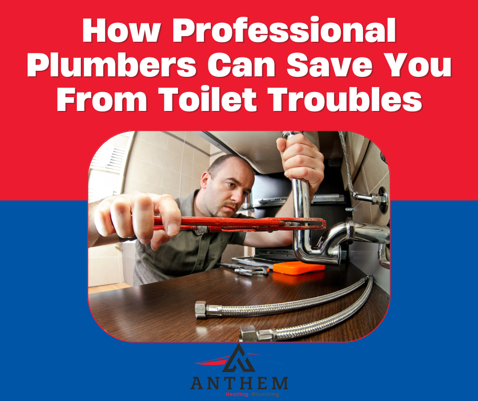 How Professional Plumbers Can Save You From Toilet Troubles